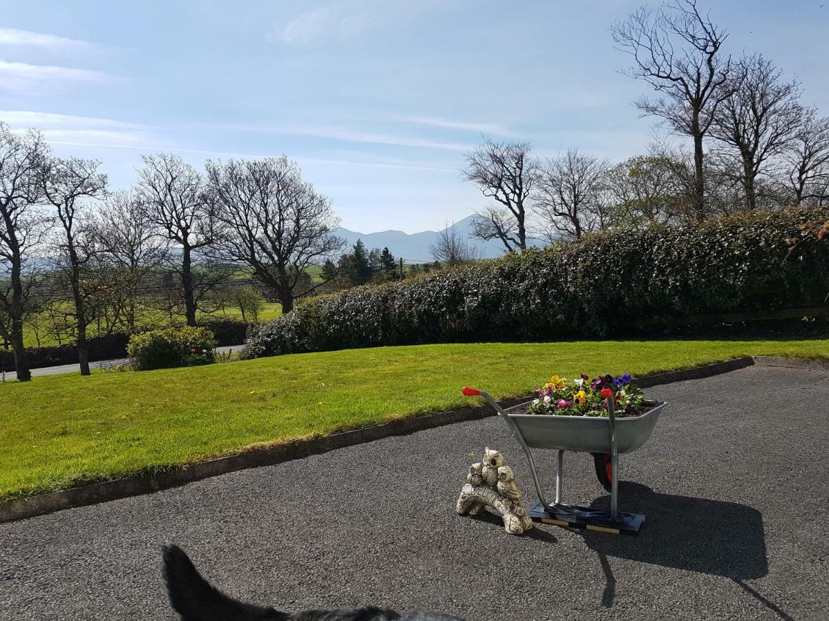Greenside B&B Westport Bagian luar foto
